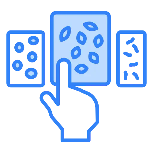 Employee skills captured and structured digitally to create a comprehensive, AI-readable skill matrix.
