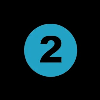 Collect and Annotate High-Quality Data